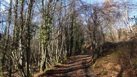 Montée sur Vaudragon.