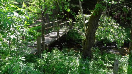 Passerelle sur le ruisseau de Brossettes.