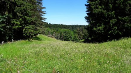 Paysage de moyenne montagne dans le Velay.