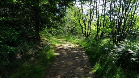 Chemin large.