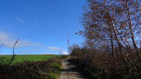 Plateau du Guizay.
