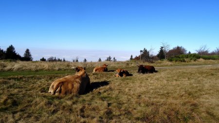 Farniente au col de Botte.