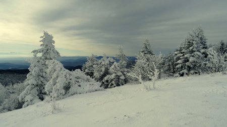 Manteau blanc.