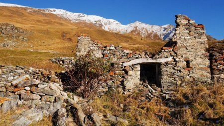 Ancien chalet ruiné de la Davie.