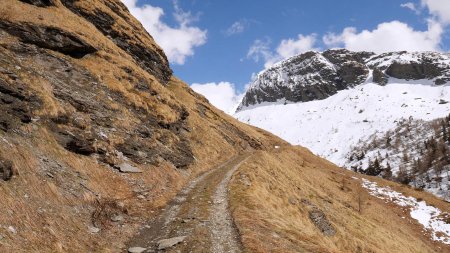 Chemin montant vers le vallon du Nant Cruet, face à la crête de Doumé.