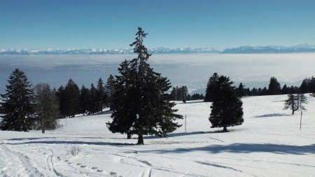 Vue arrière entre les chalets La Matoule et Le Rez.