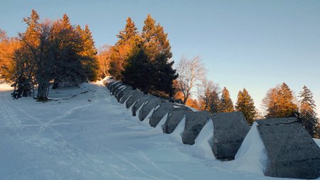 Rangée de toblerones près du chalet.