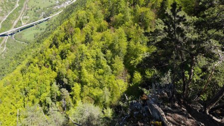 Belvédère du Torrond, le long de la crête abrupte.