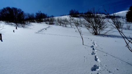 Dans le rétro.