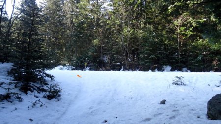 Jonction avec la piste forestière, prendre à gauche.