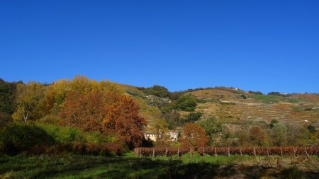 Île de la Chèvre.