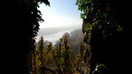 Les brouillards s’éstompent et le Rhône apparaît.