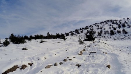 Quelques cailloux quand même.