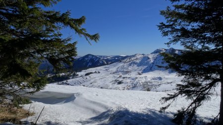 Sortie de la forêt.