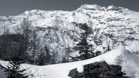 Dôme de la Sache, Mont Pourri et Mont Turia.