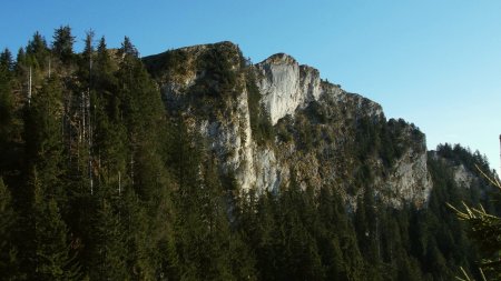 Versant nord du Mont César, lors de la descente.