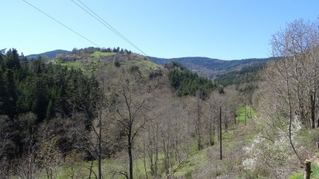 Vallée du Nant, vue amont.