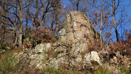 Peu de rochers sur cet intinéraire de moyenne montagne.