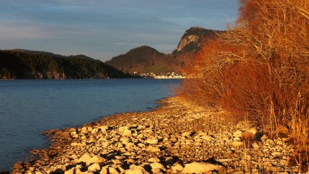 Rive du lac au soleil couchant.