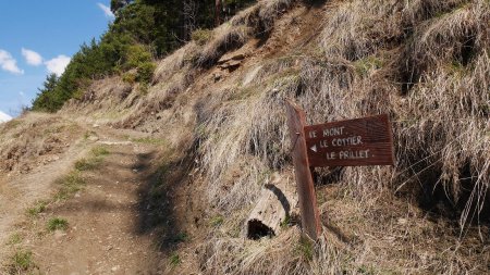 Début du sentier, sur la droite du chemin.