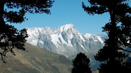 Grandes Jorasses vues de la Comba Chiusa.