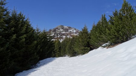 La piste de droite dans la forêt.