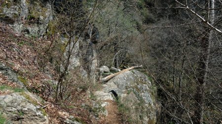 Le sentier de la cascade supérieure.