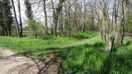 La borne à droite et le sentier à suivre.