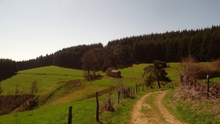 Prairie et forêt.