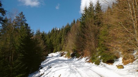 Plat chemin après Jagdhaus Waldfried.