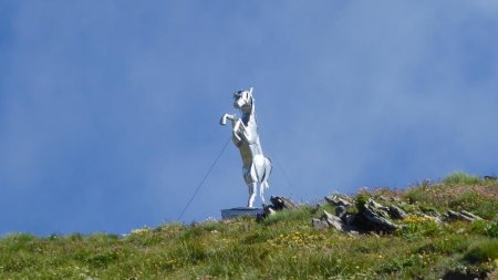 Arrivée au sommet toujours surprenante