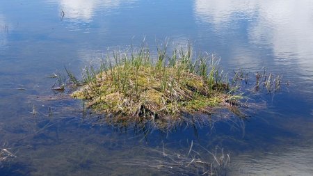 Lac du Plan du jeu