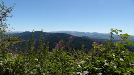 On prend très vite de la hauteur