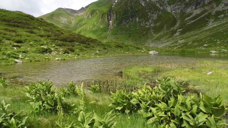 Lac des Tritons