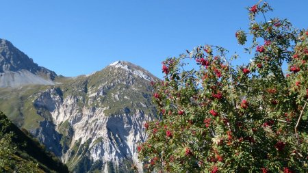 Le Petit Mont Blanc