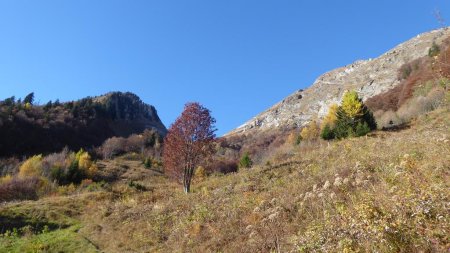 Montée vers le Creux du Cayon