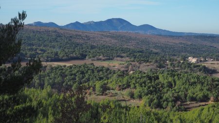 Au loin, le massif de l’Étoile, dominé par la tête du Grand Puech.