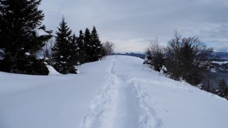 Sur la crête, vers la Tour de l’Angle