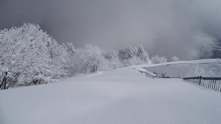 Au sommet, neige vierge