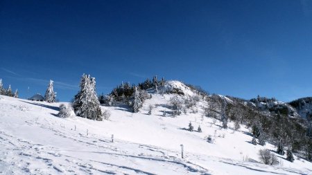 Le mont du Sire 1558m