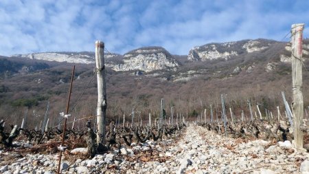 On était là haut...