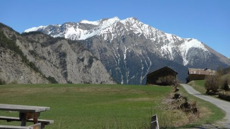 Tête de Siguret... pour la carte postale !