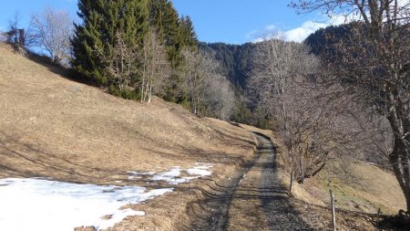 Piste forestière au départ