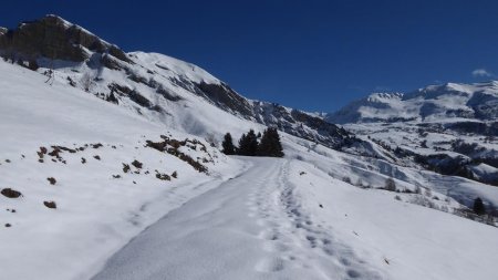 A la montée, au passage de la route d’alpage