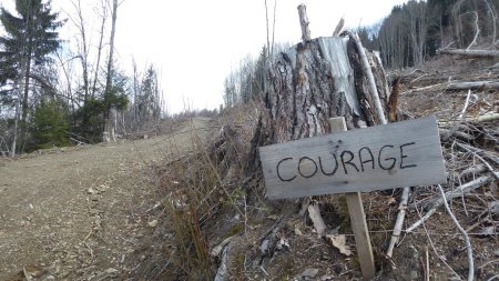 Sous le point haut du parcours ...