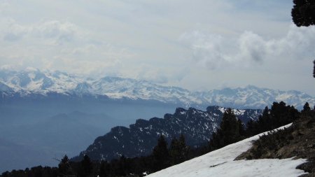 Belledonne