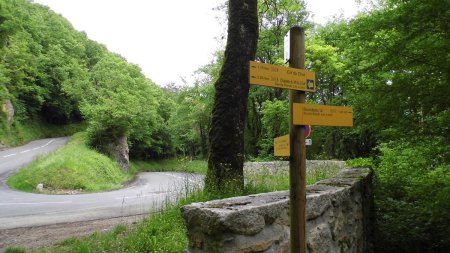 On rejoint de nouveau la route du col