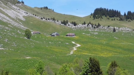 Chalets d’Orgeval