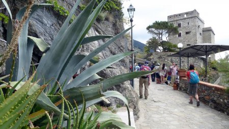  Monterosso 