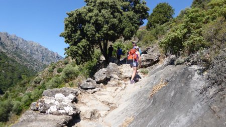 Sur le sentier